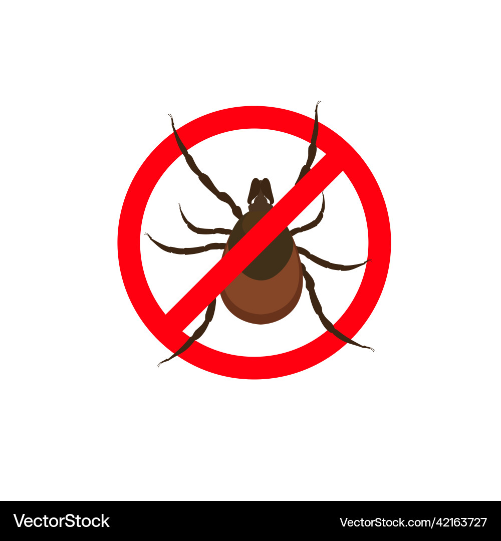 Mite bug insect control Vector Image