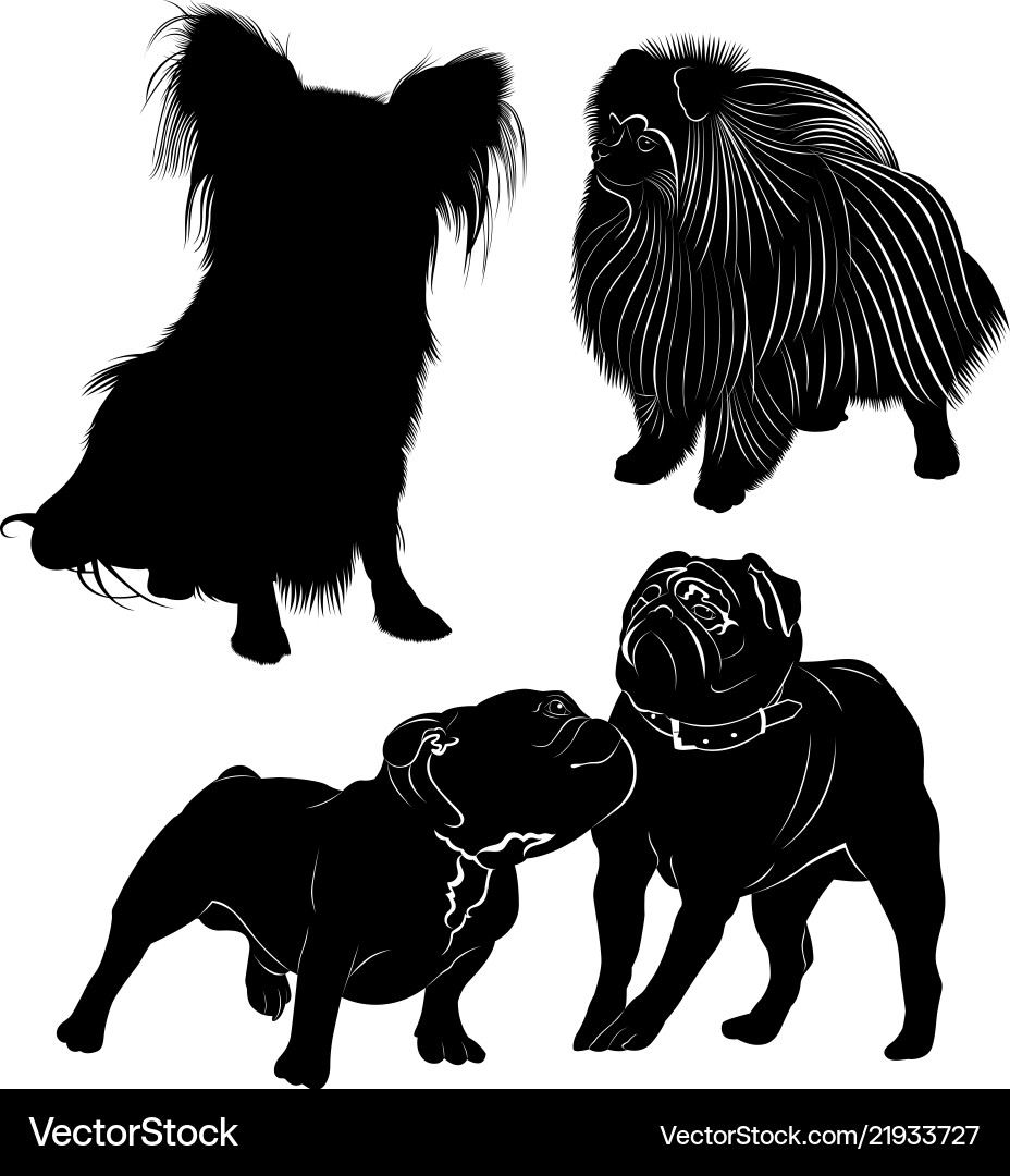 Set of dog silhouettes isolated on white vector image