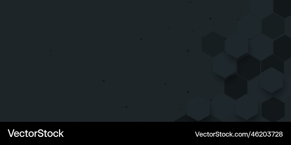 Abstract dark hexagon shapes and lines Abstract dark hexagon shapes and lines vector image