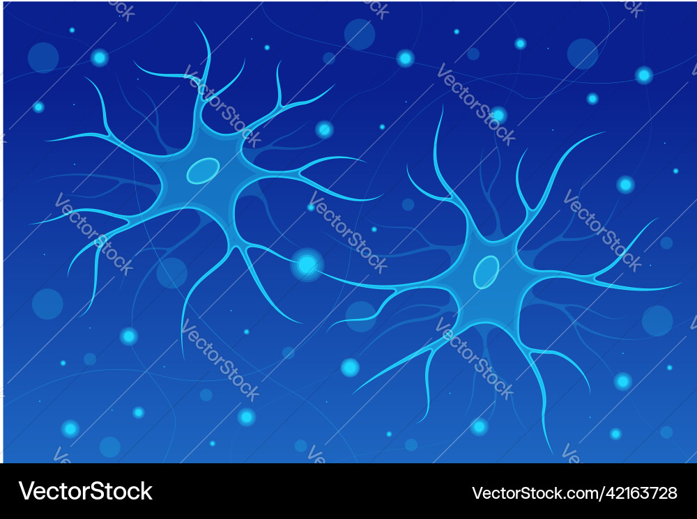 Brain Synapse Neurons - Neural Connections Vector Image