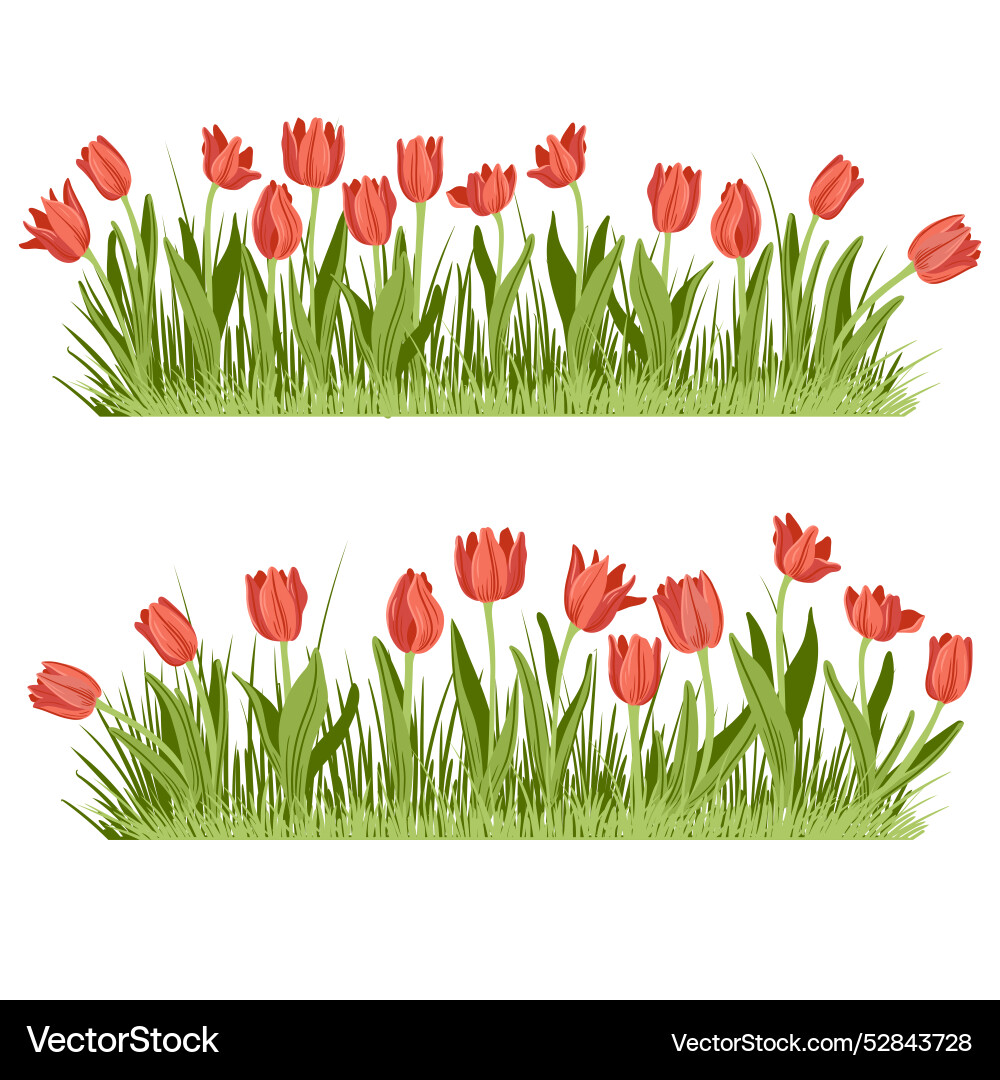 Zeichnen von wilden Blumen Tulpen Zeichnen von wilden Blumen Tulpen vektorbild