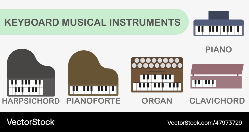A set of keyboard musical instruments colored A set of keyboard musical instruments colored vector image