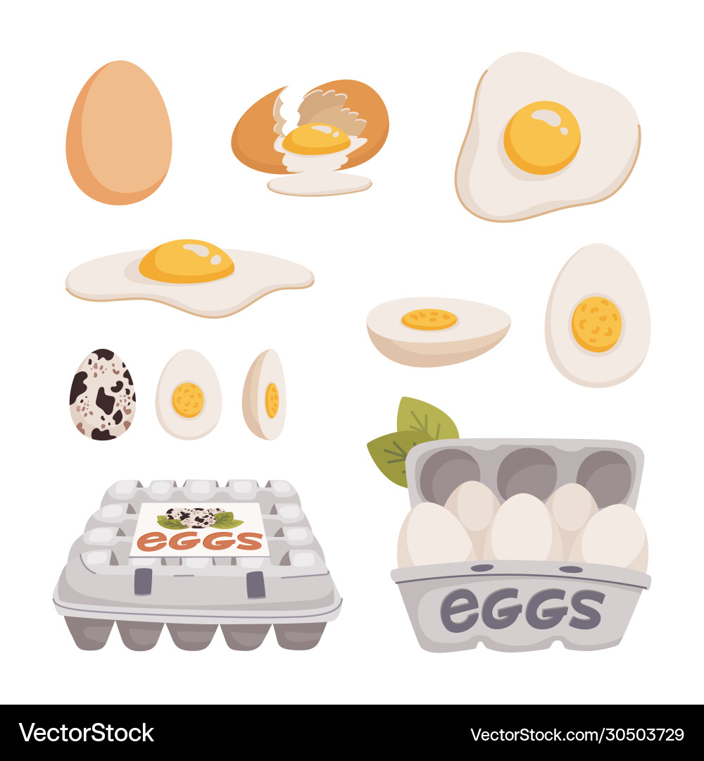 Set chicken and quail eggs in different forms Set chicken and quail eggs in different forms vector image