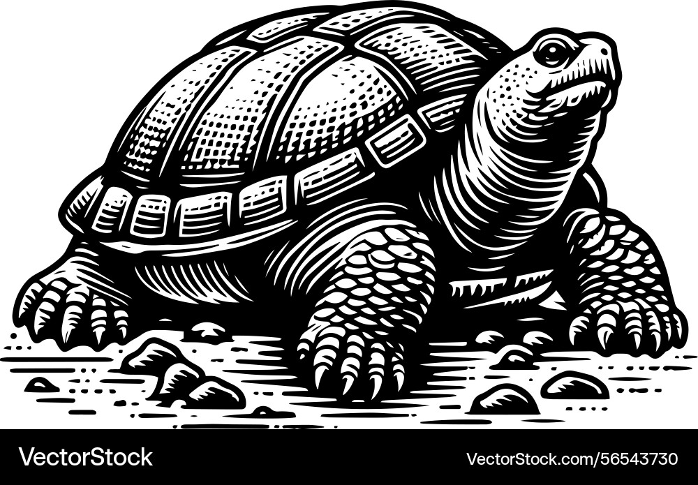 Simple gopher tortoise walking side view icon Simple gopher tortoise walking side view icon vector image