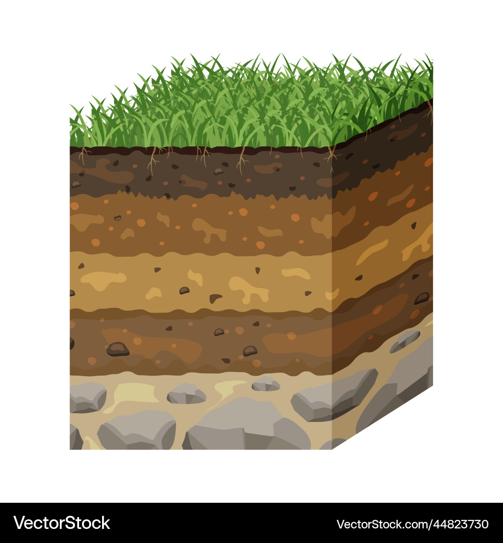 Soil in layers section structure of the earth Soil in layers section structure of the earth vector image