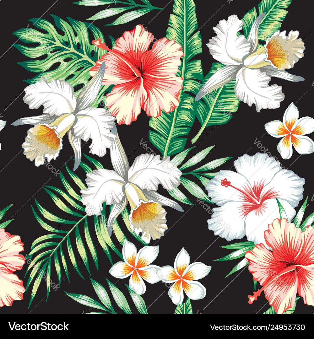Tropical Hibiscus & Orchid Floral Pattern Vector Image