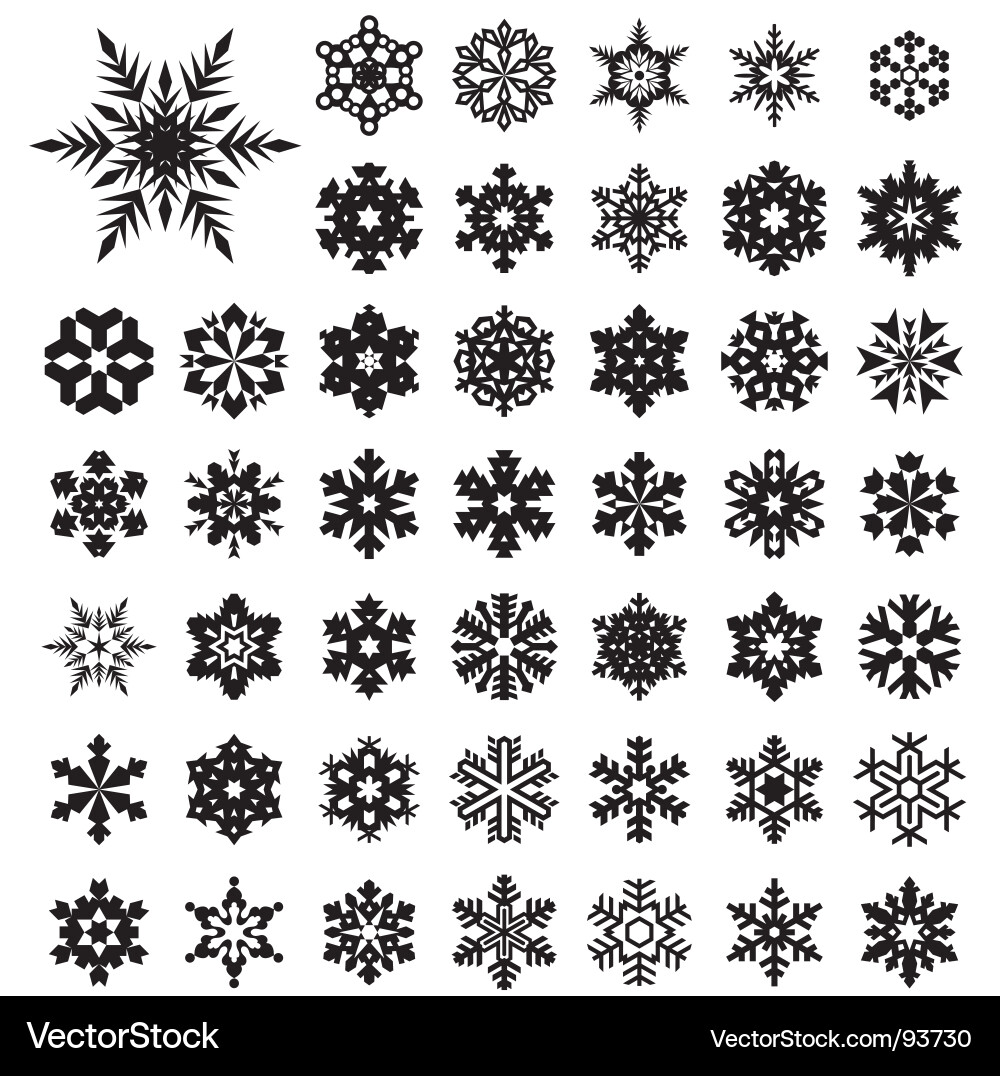 Winter Snowflake Collection Vector Image