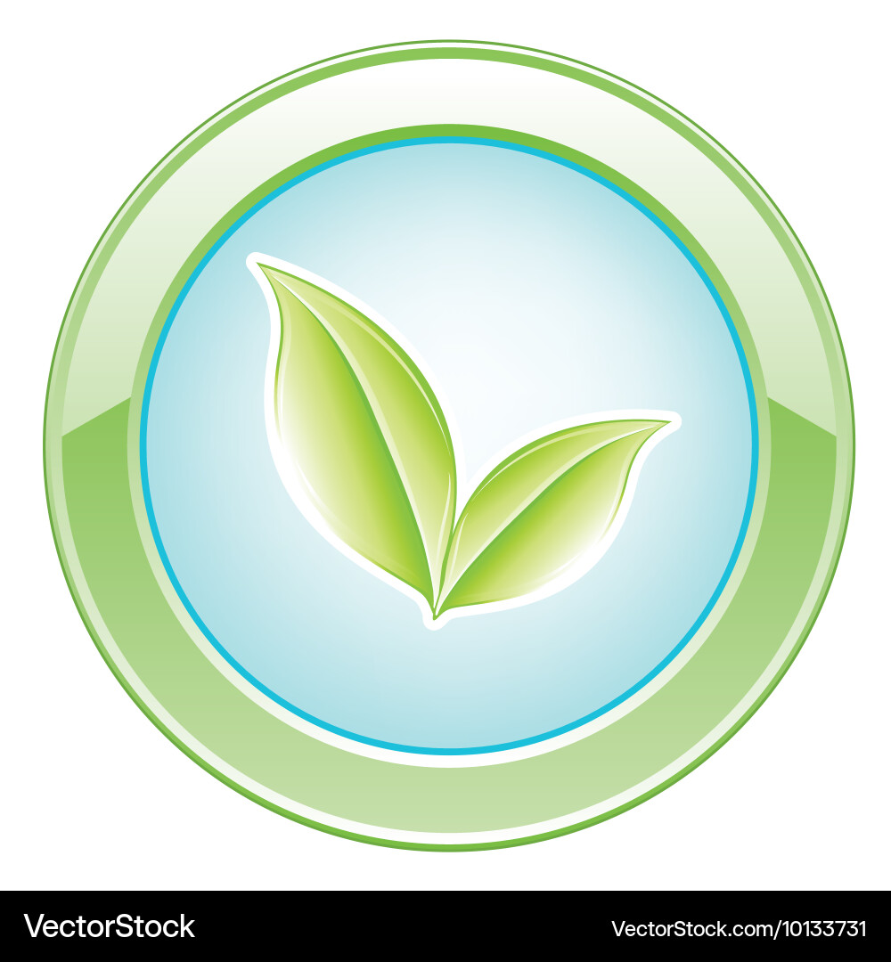 Glossy button vector image