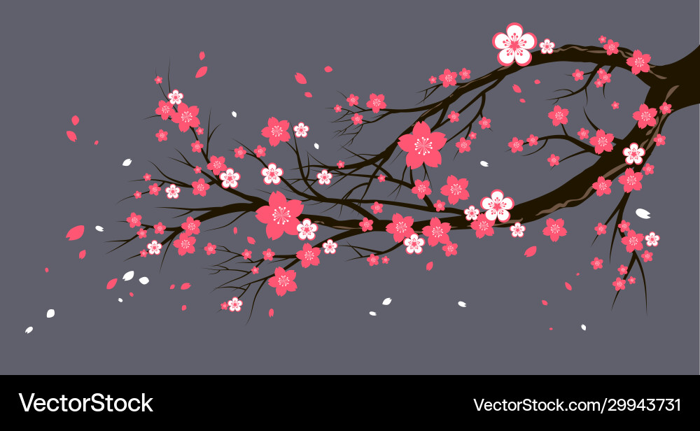 Seasonal cherry tree with flowers Seasonal cherry tree with flowers vector image