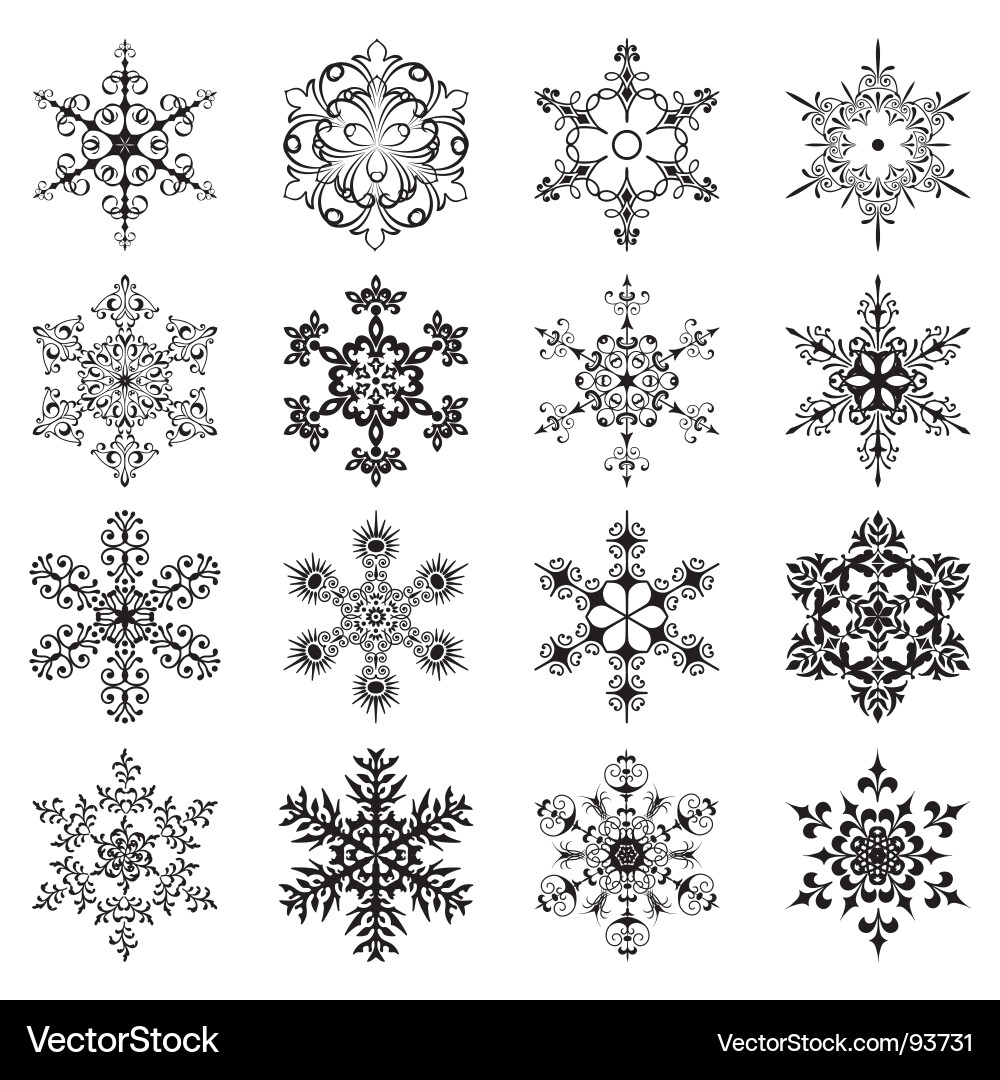 Winter Snowflake Patterns Vector Image