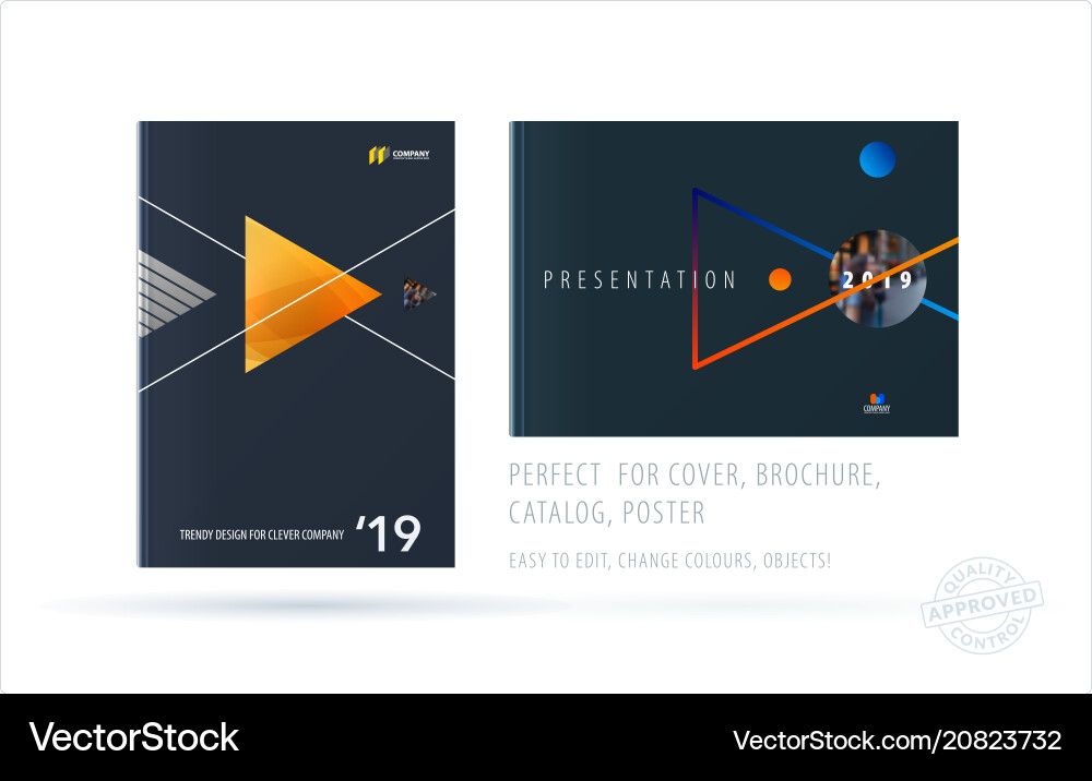 Brochure design triangular template colourful Brochure design triangular template colourful vector image