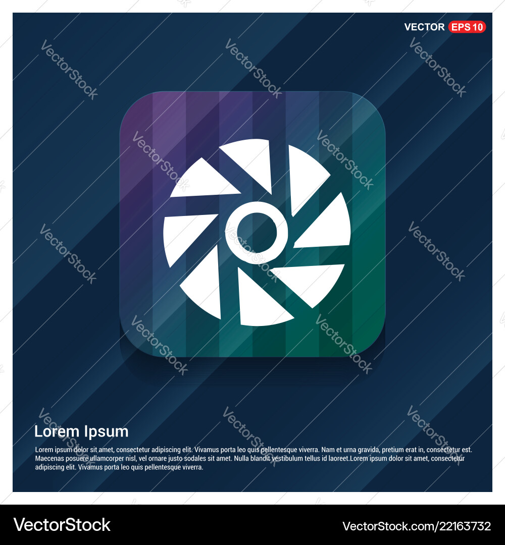 Camera shutter icon Vector Image