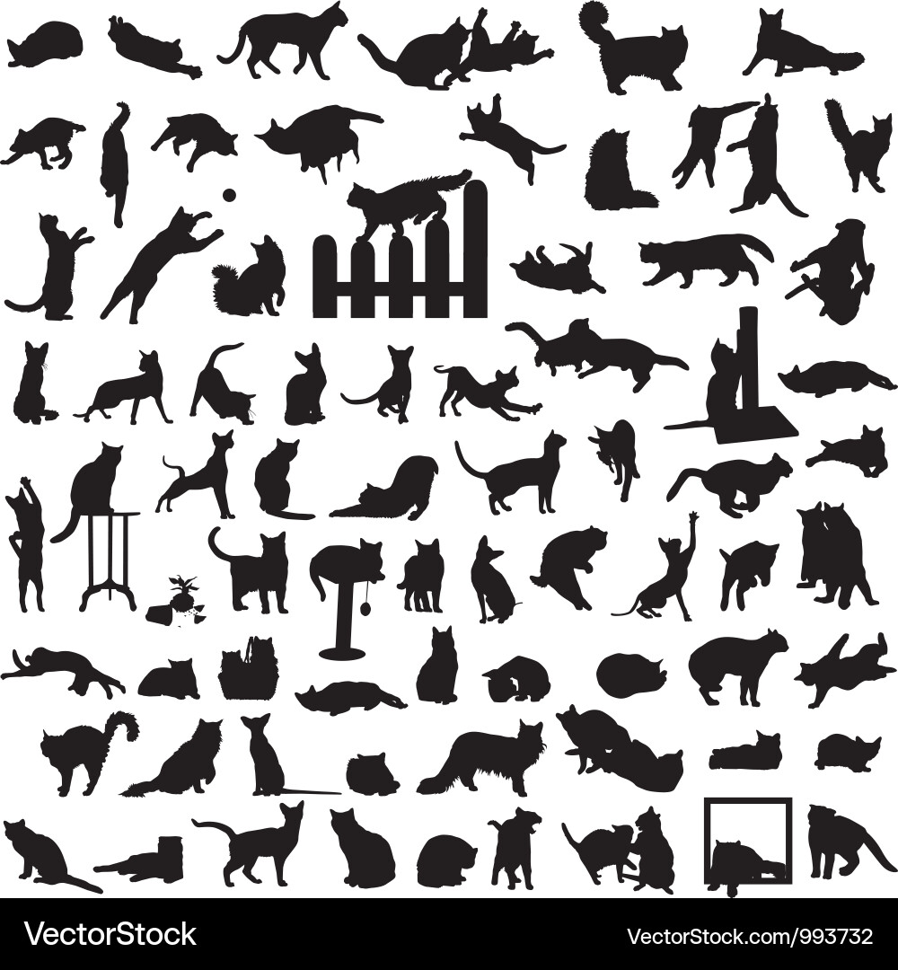 Cat Silhouettes - Diverse Poses vector image
