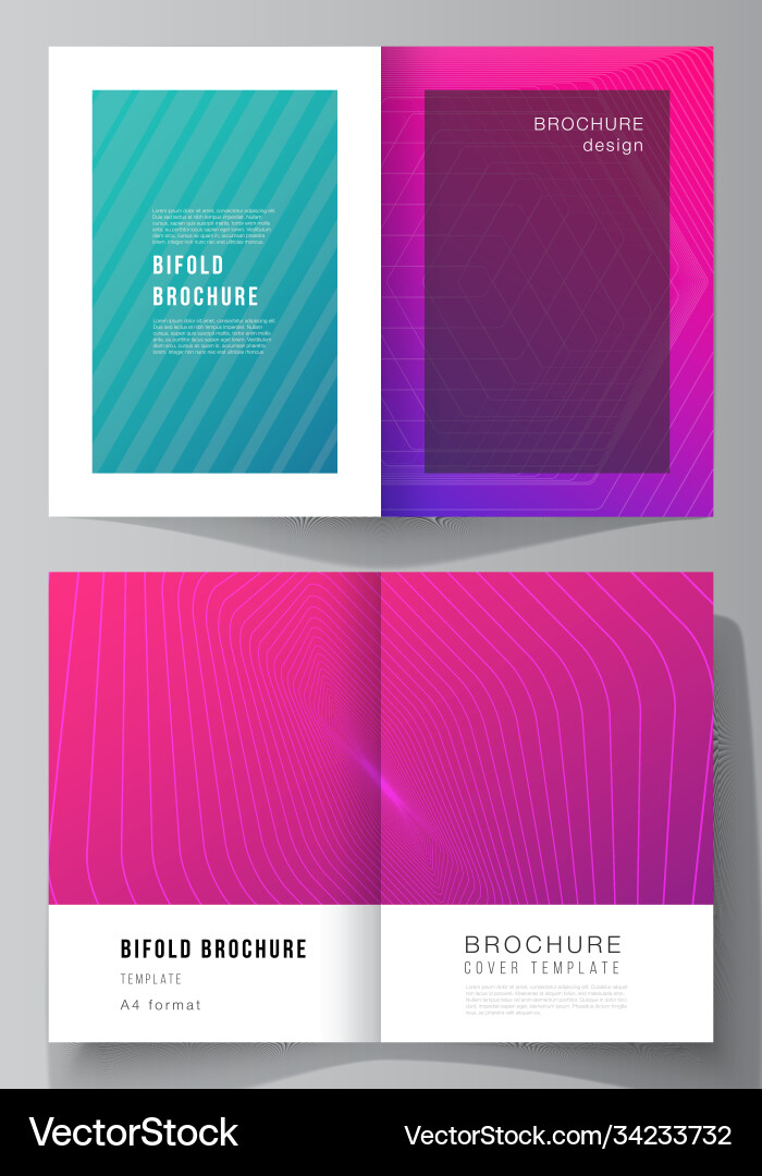 Layout two a4 format modern cover Layout two a4 format modern cover vector image
