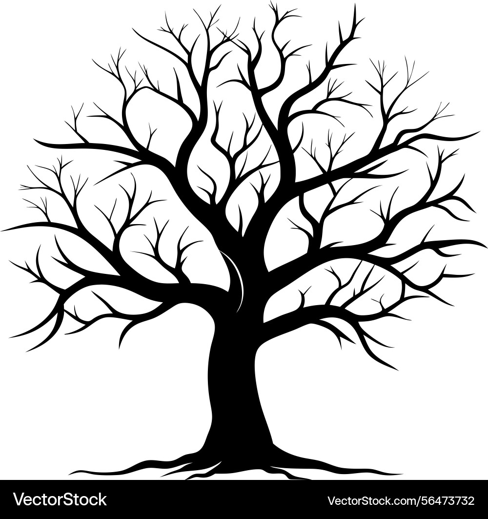 Silhouette of a bare tree with intricate branches vector image