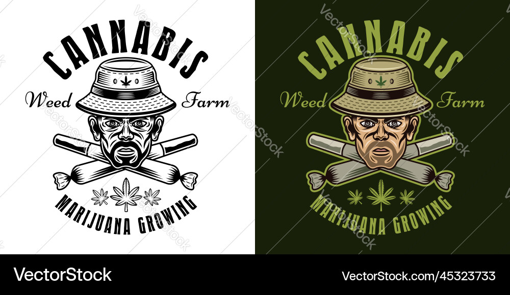 Marijuana growing emblem badge label vector image