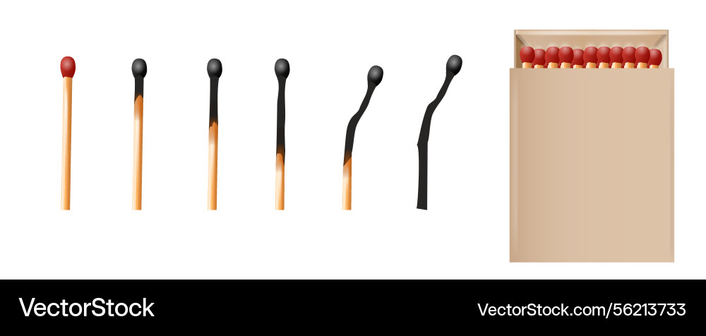 Matchbox empty package for match sticks in top Matchbox empty package for match sticks in top vector image