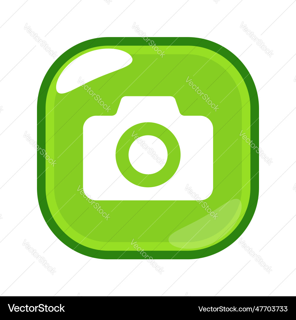 Screen capture camera icon button Vector Image