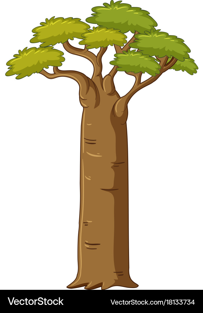 Tree with big trunk vector image