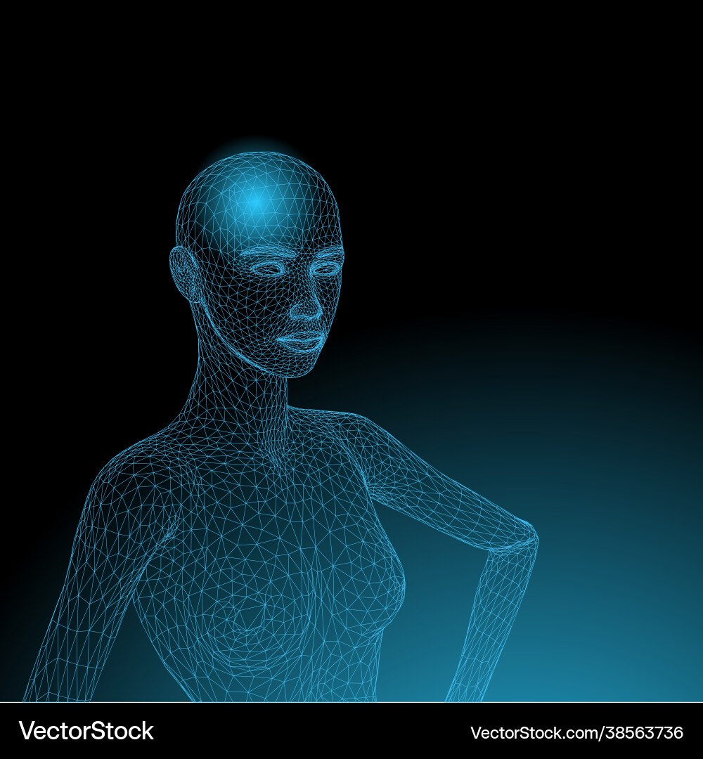 A skeleton front on and side profile A skeleton front on and side profile vector image