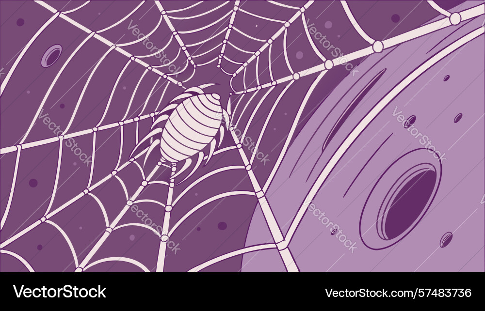 Close-up of intricate spider web with small vector image