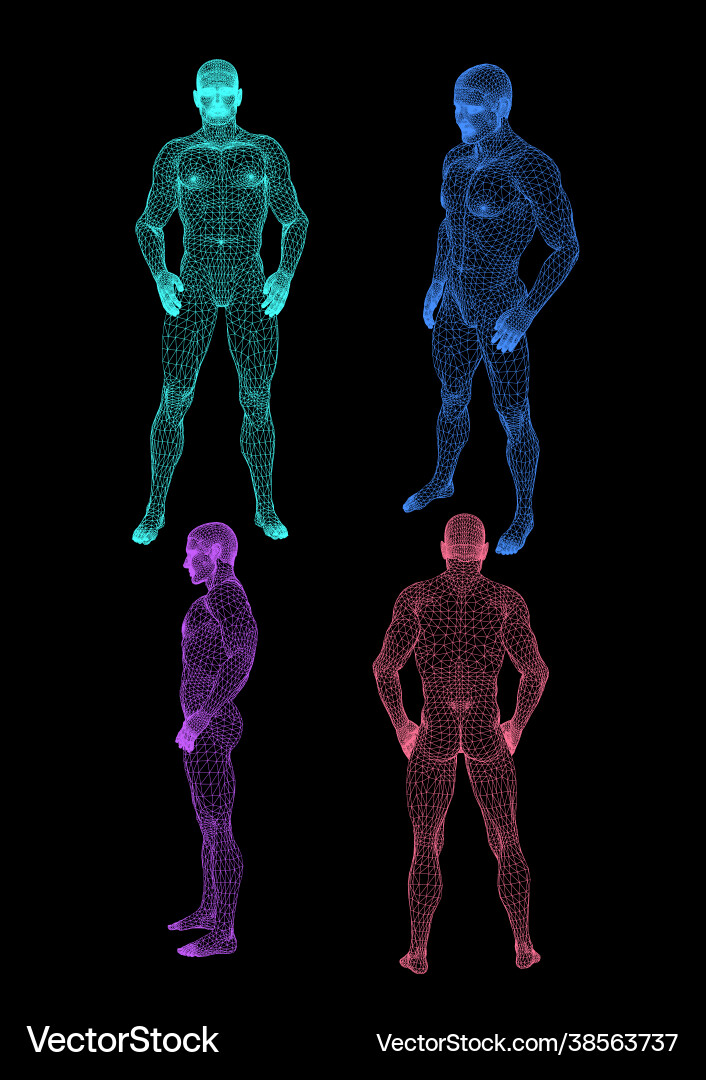 A skeleton front on and side profile A skeleton front on and side profile vector image
