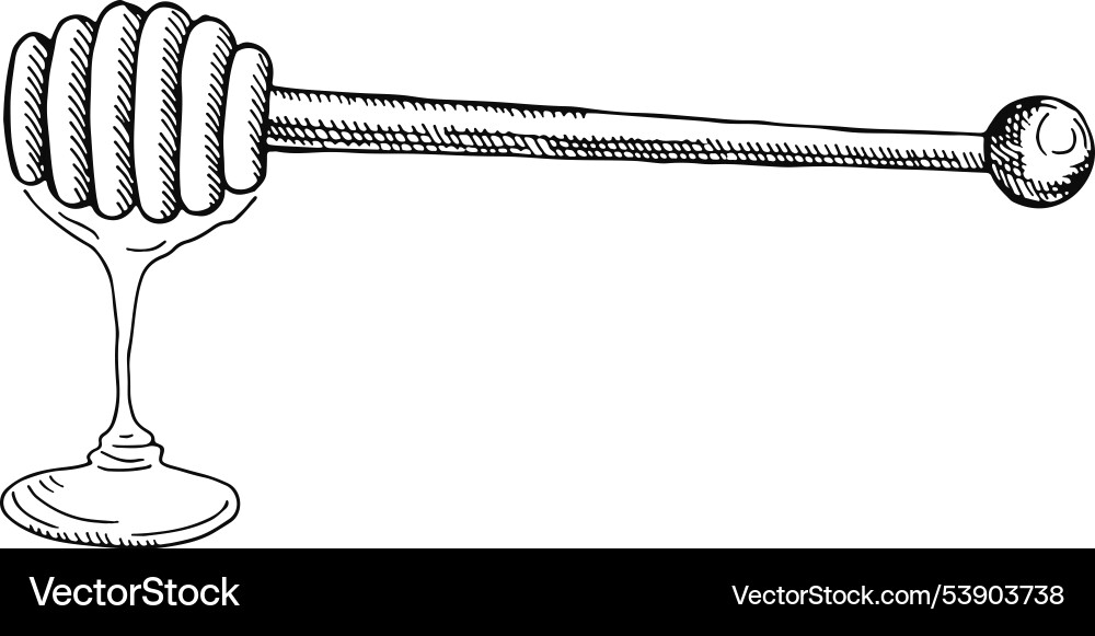 Honey dipper sketch wooden spoon apiary stick Vector Image