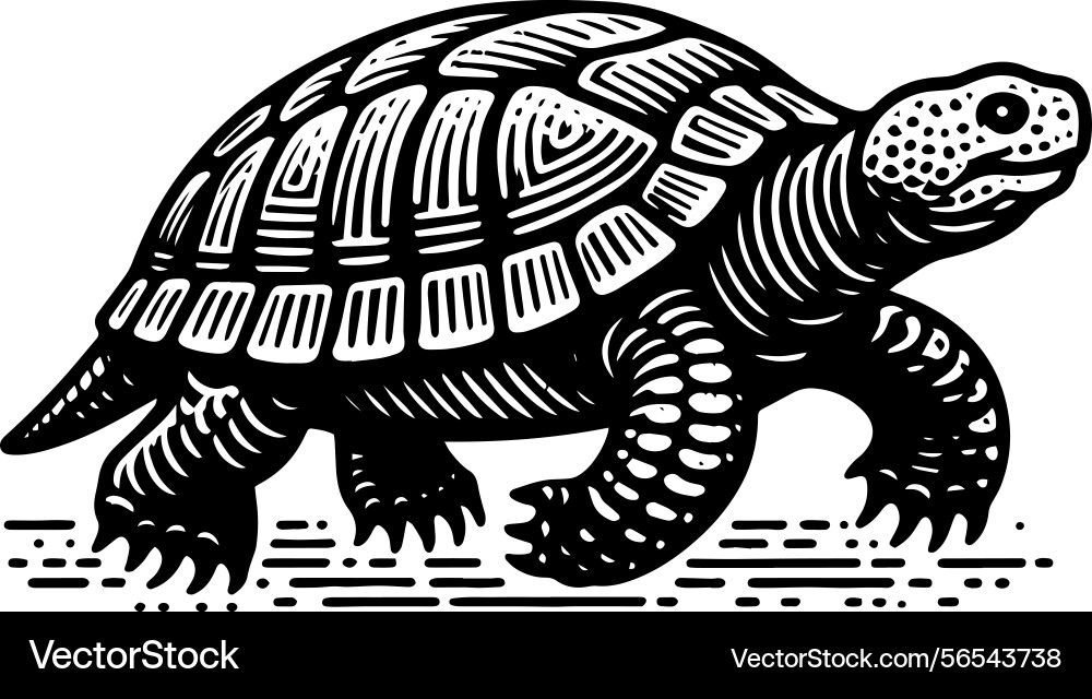 Simple gopher tortoise walking side view icon Simple gopher tortoise walking side view icon vector image