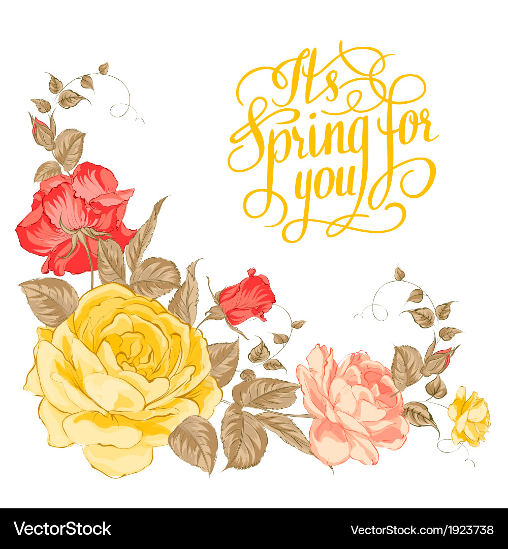 Spring for you calligraphic text Vector Image