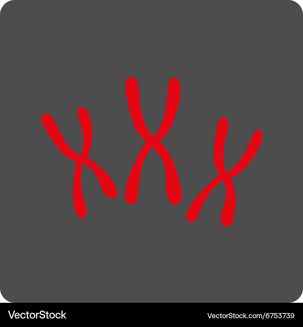 Chromosomes rounded square button vector image