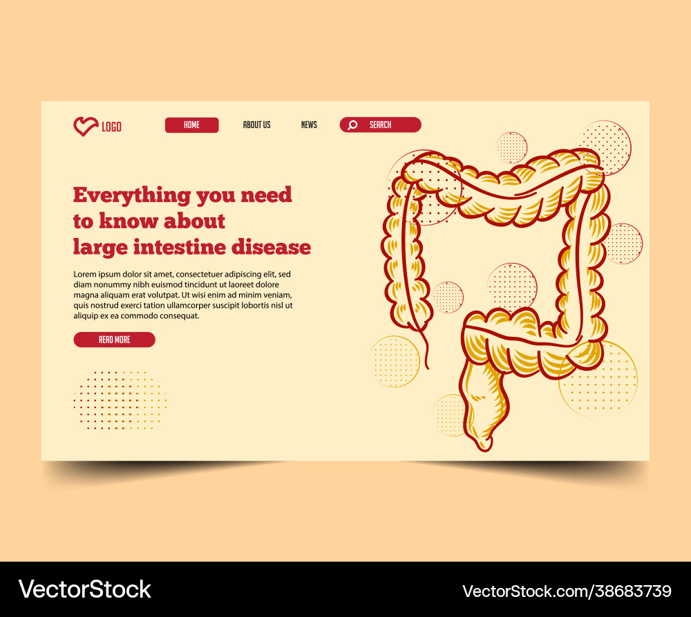 Minimal with landing page web template vector image