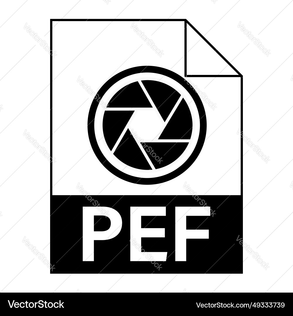 Modern flat design of pef file icon for web Modern flat design of pef file icon for web vector image