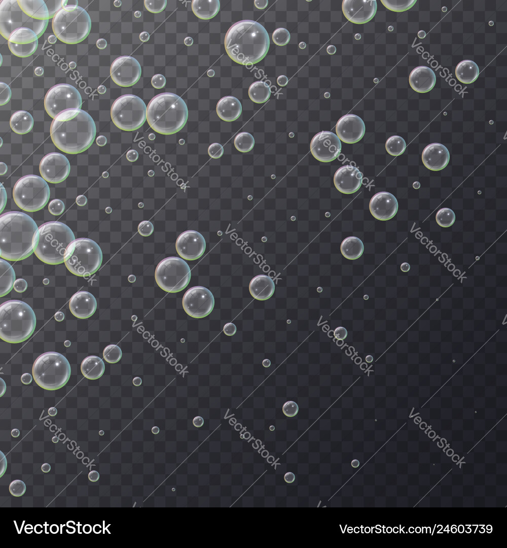 Realistic 3d floating soap bubbles Realistic 3d floating soap bubbles vector image