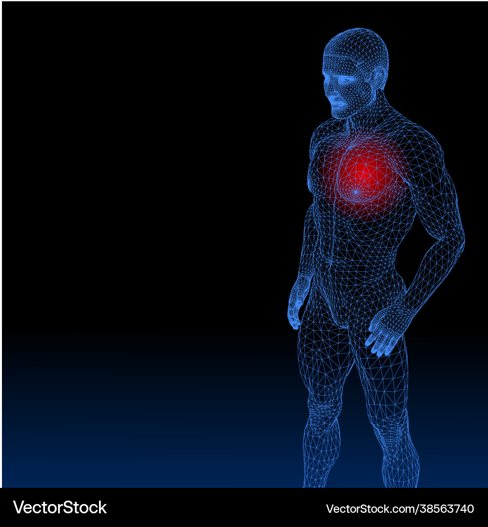 A skeleton front on and side profile A skeleton front on and side profile vector image