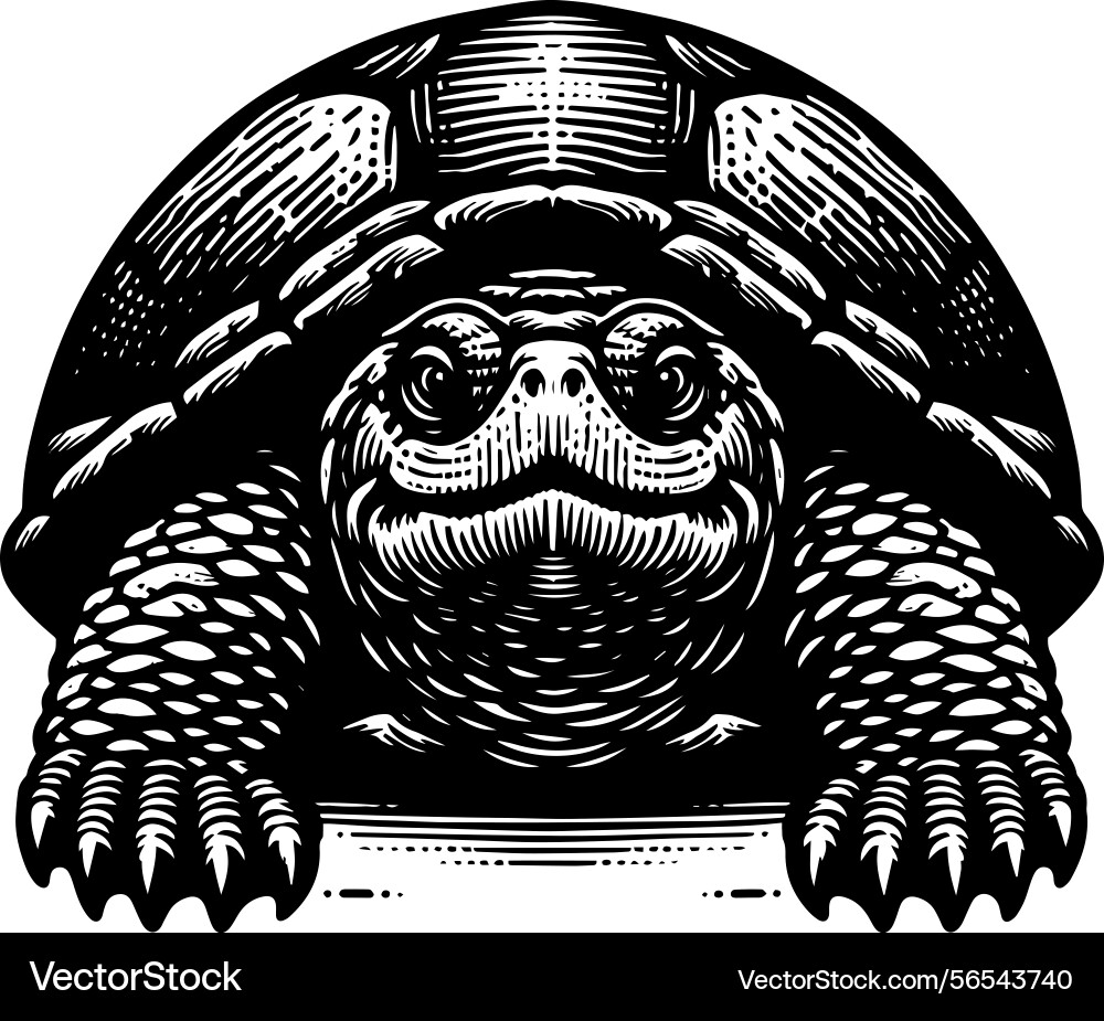 Simple gopher tortoise front view icon vintage Vector Image