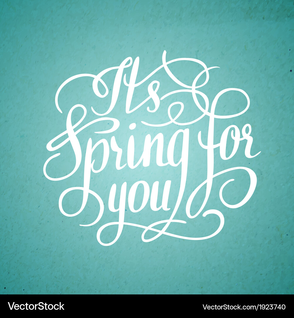 Spring for you calligraphic text vector image