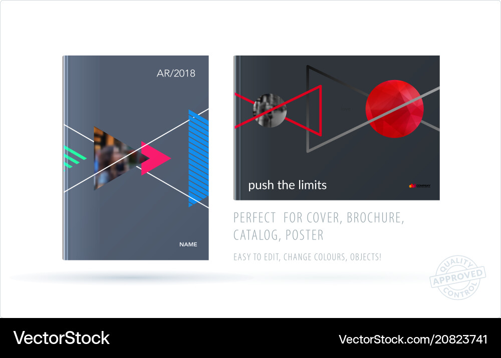 Brochure design triangular template colourful Brochure design triangular template colourful vector image