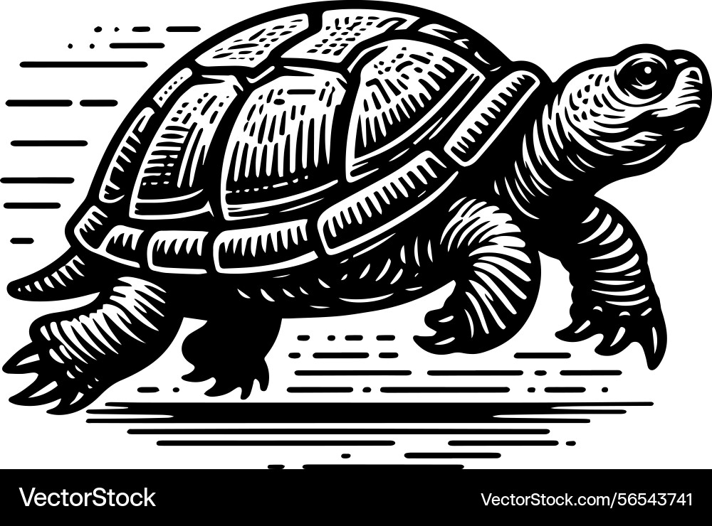 Simple gopher tortoise walking side view icon Simple gopher tortoise walking side view icon vector image