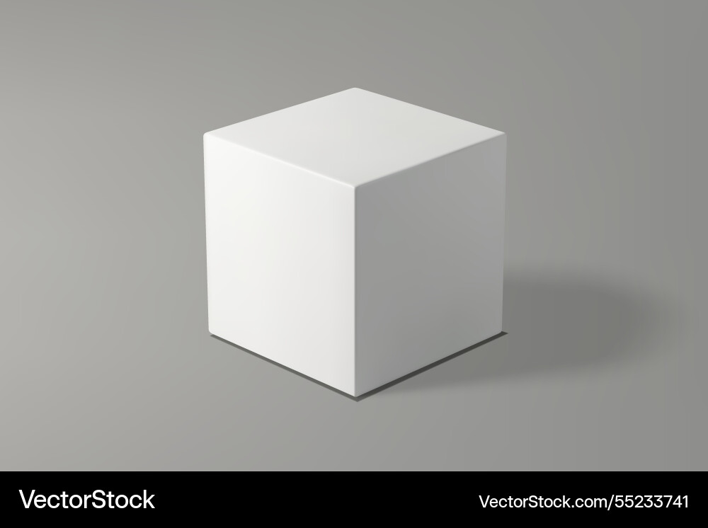 White cube on a gray gradient background vector image