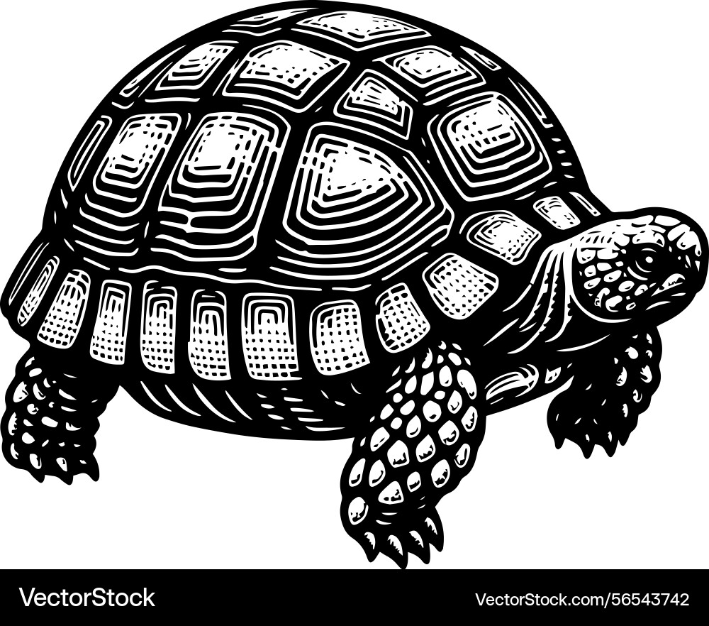 Simple gopher tortoise walking side view icon Simple gopher tortoise walking side view icon vector image