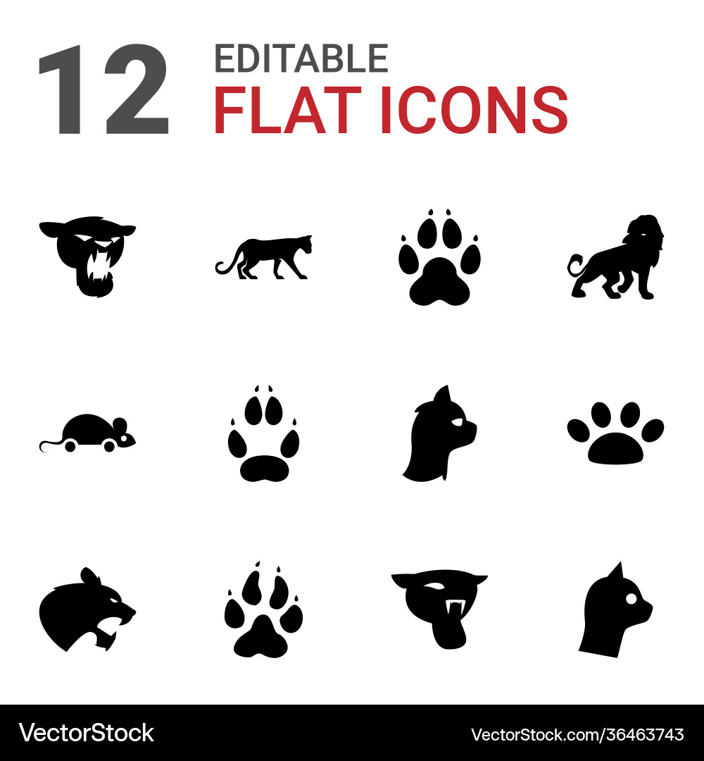 Cat icons vector image
