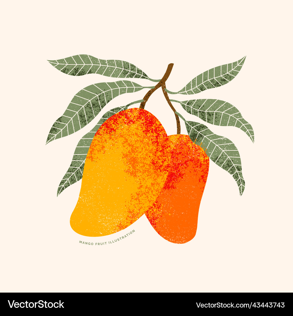 Mango Obst Vintage Textur Stil Mango Obst Vintage Textur Stil vektorbild