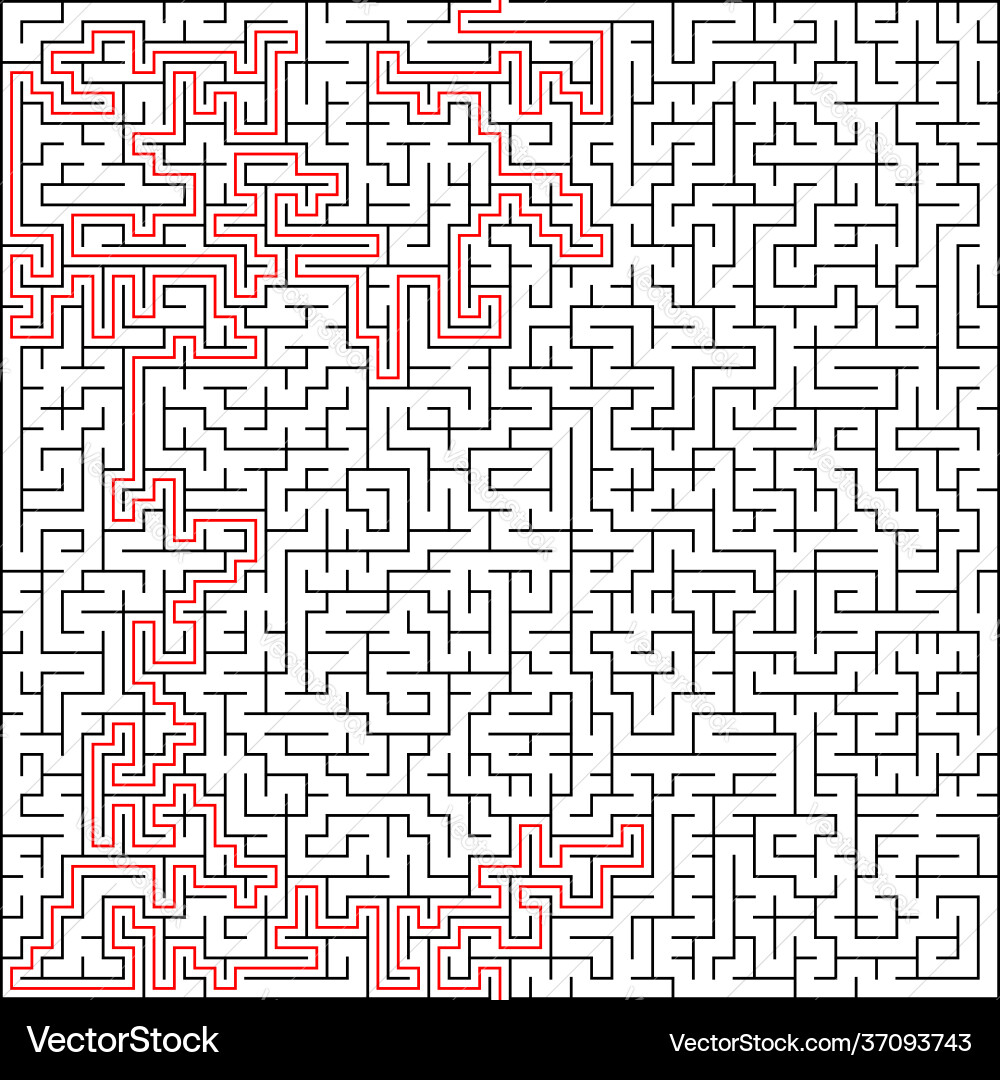 Maze labyrinth puzzle game riddle brain-teaser Maze labyrinth puzzle game riddle brain-teaser vector image