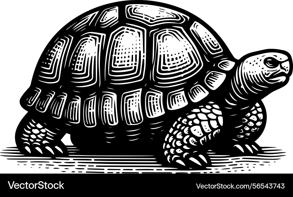 Simple gopher tortoise walking side view icon Vector Image
