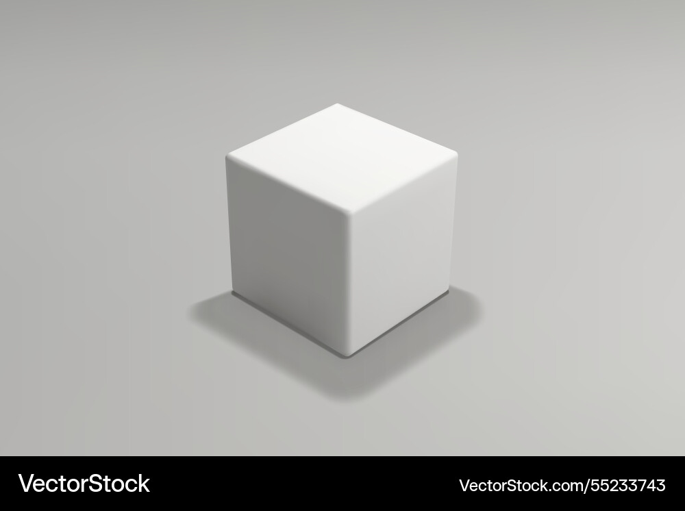 White cube on a gray gradient background vector image