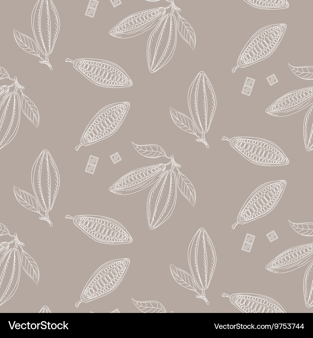 Cocoa beans outline seamless pattern chocolate vector image