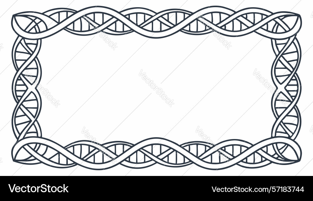 Dna strand pattern border design Vector Image