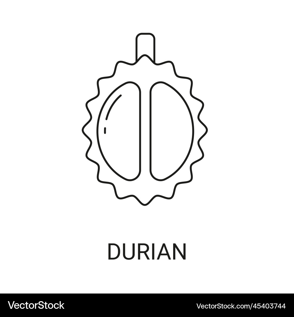 Durian exotic fruit icon element for web vector image