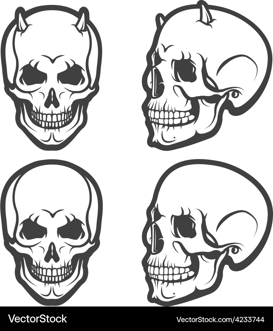 Skull Collection Vector Image