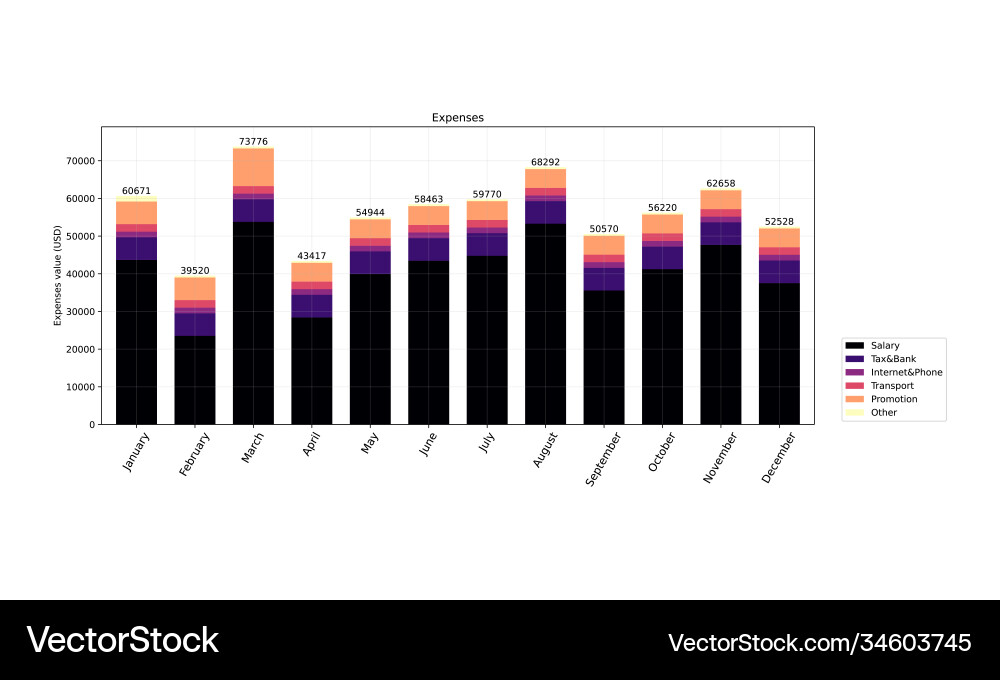 Chart graph diagram bar histograms Vector Image